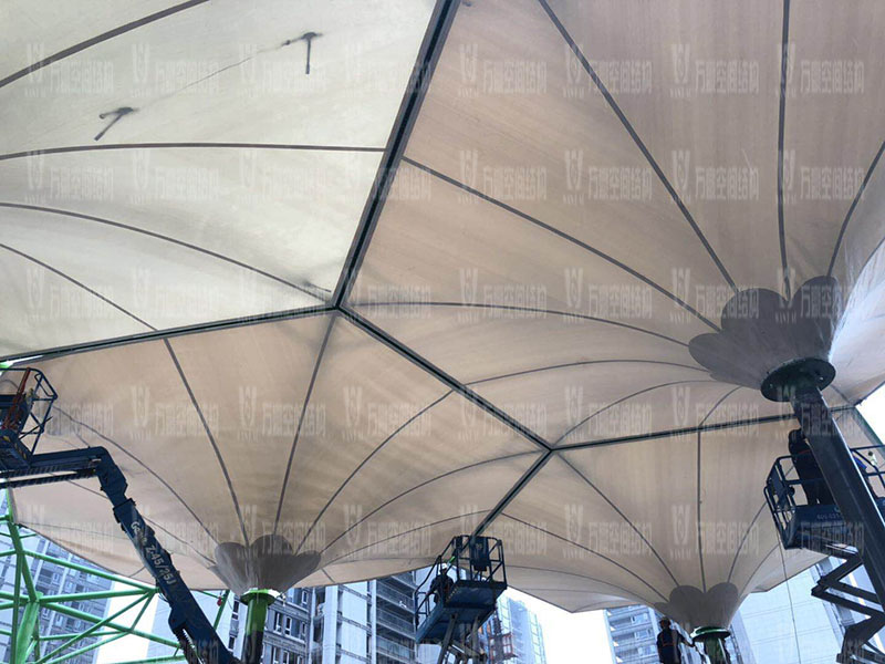 微信圖片_20200401082824.jpg 微信圖片_20200401082824.jpg