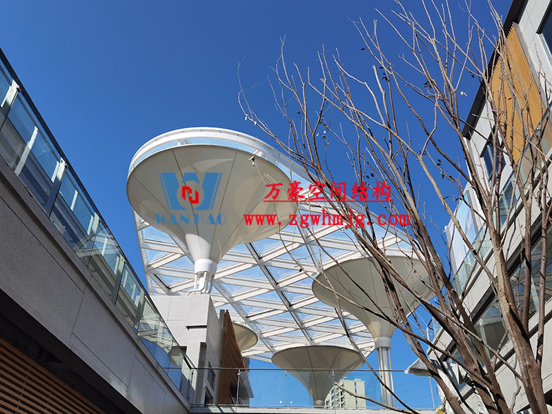 臺(tái)州大板橋ETFE氣枕天幕項(xiàng)目完工 臺(tái)州大板橋ETFE氣枕天幕項(xiàng)目完工