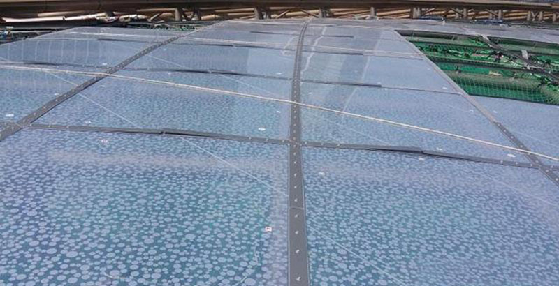 ETFE膜結(jié)構(gòu)有哪些種類(lèi)？ETFE膜結(jié)構(gòu)是如何分類(lèi)的？