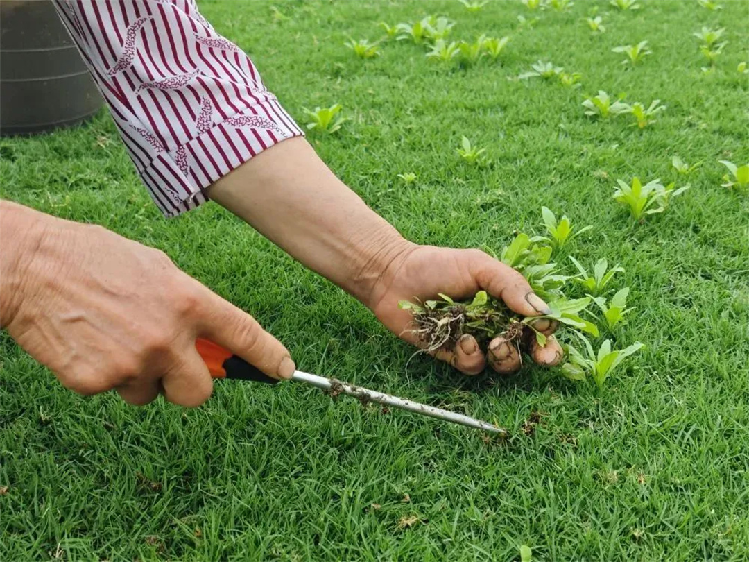 萬豪集團匠心助力，6月齊聚重慶龍興足球場為國足吶喊助威！