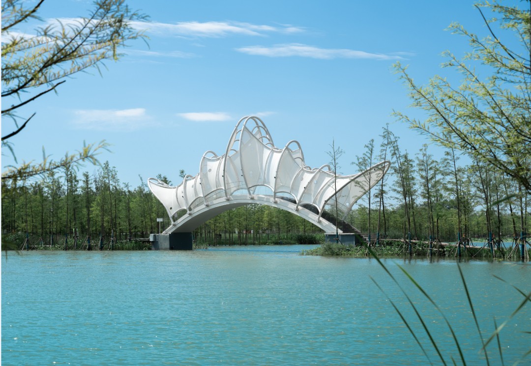 這家設計界“夢工廠”把童話搬入現(xiàn)實