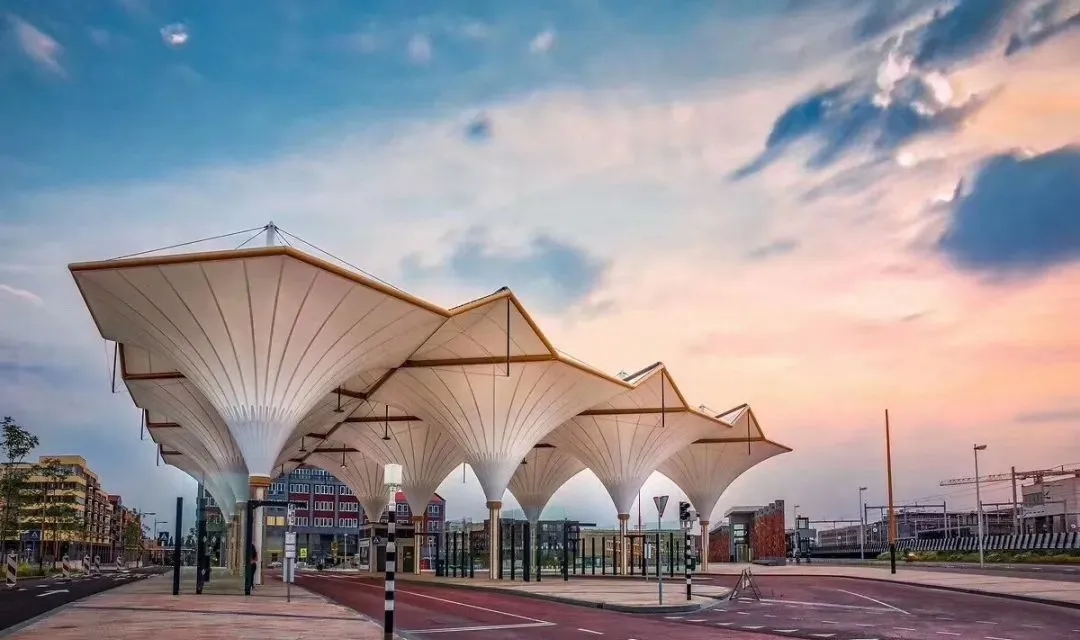 “棚”和“篷”，怎么區(qū)分？