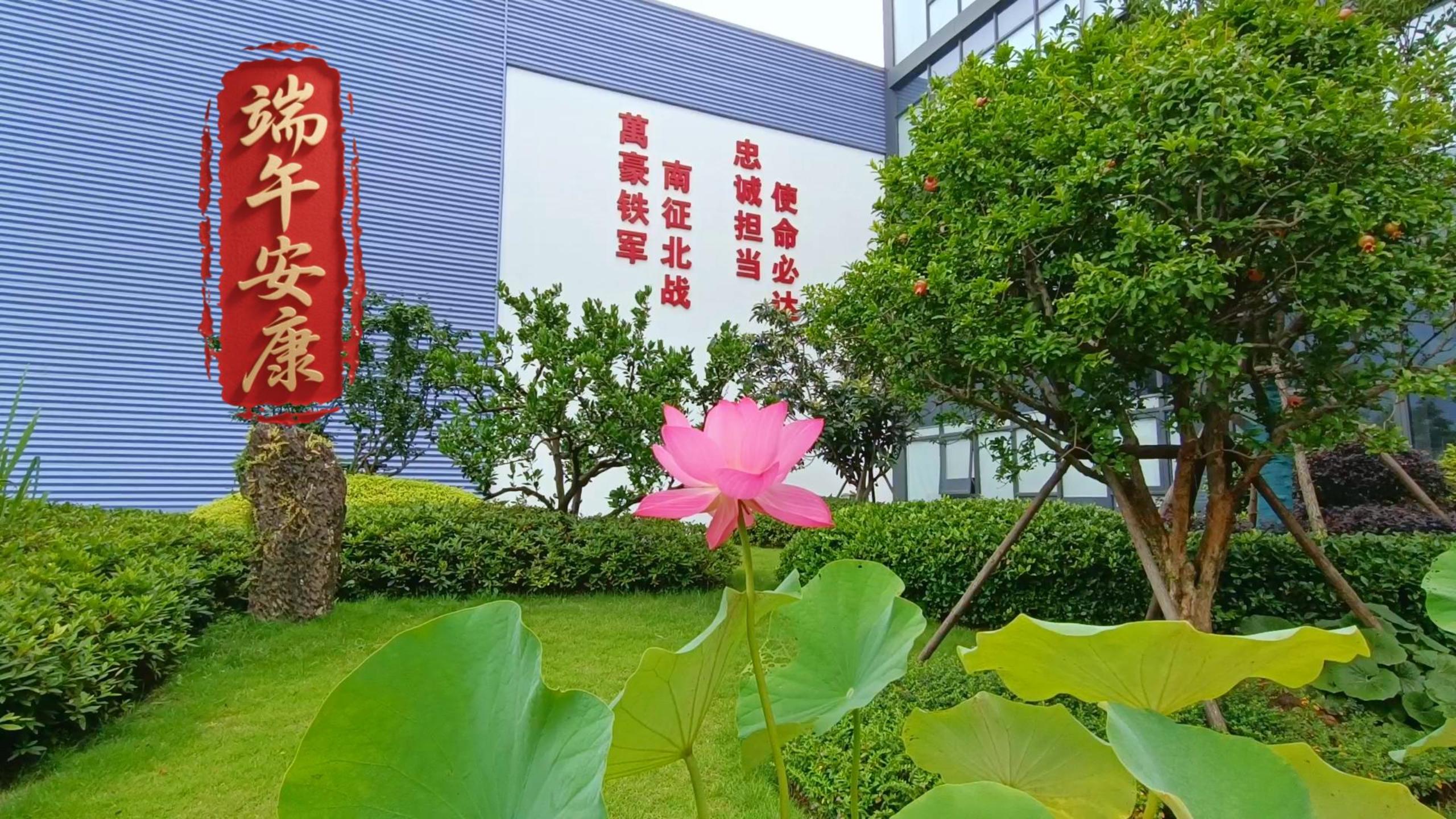 歲歲安康，粽享溫情
